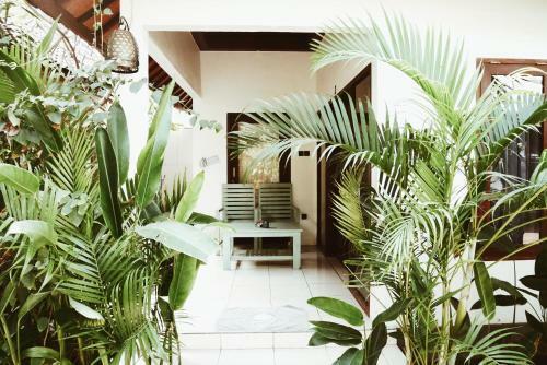 Rumah Kalua Villa