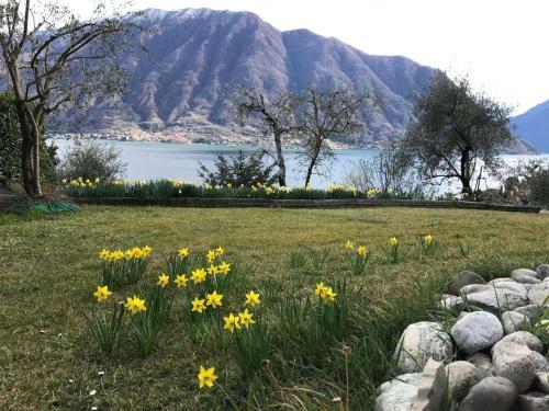 Big Apartment With Lake View And Three Bedrooms