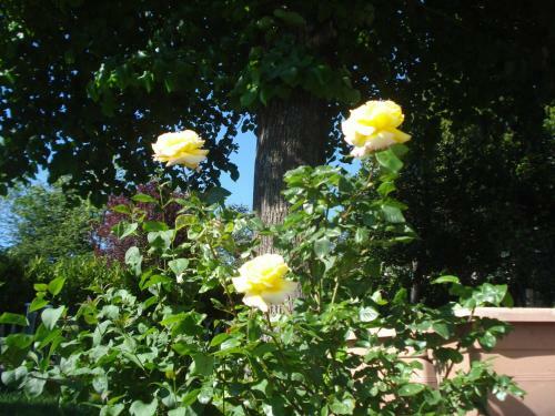 Casa Tea Bed And Breakfast & Esmeralda Home Restaurant