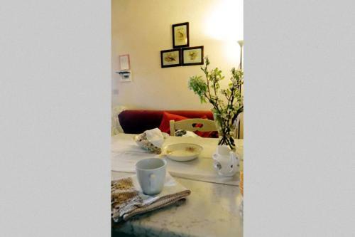 Agroturismo Agriturismo Antico Podere Il Polveraio