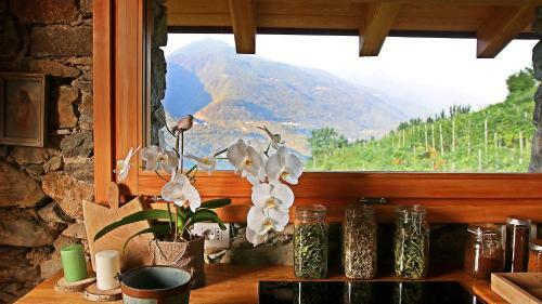 Bed & Breakfast Chalet In Vigna