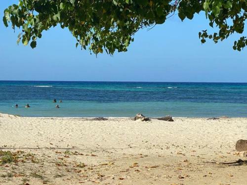 Apartamento Beautiful 1-bed Beach Side Studio