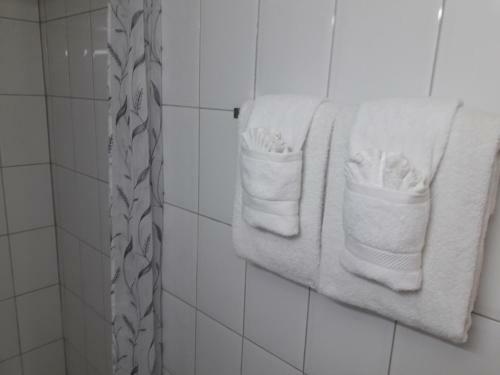 One Bed Room Apartment & One Studio In Ocho Rios