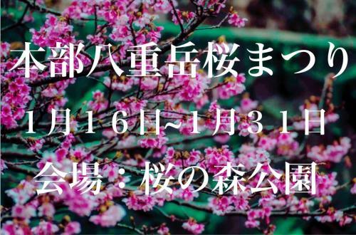 Kunigami-gun - House / Vacation Stay 36692