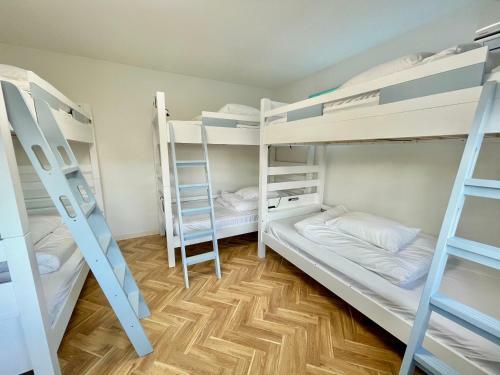 Albergue Guesthouse All You Need