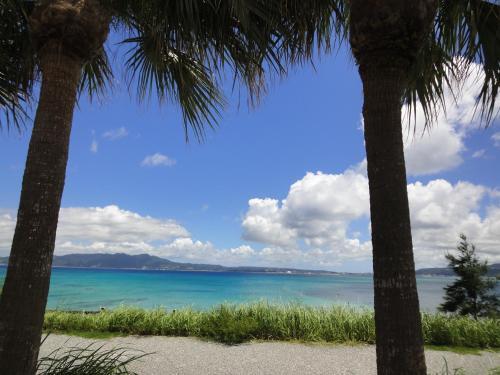 Apartamento Ocean Resort 109