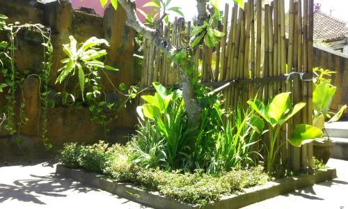 Hotel Taxa Inn Kuta Raya