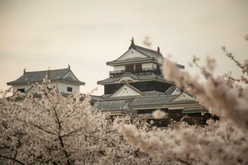 Matsuyama - House / Vacation Stay 57590
