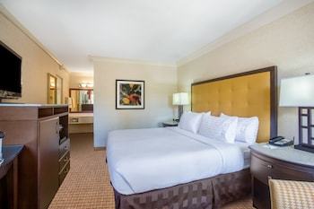 Hotel Holiday Inn Laguna Beach