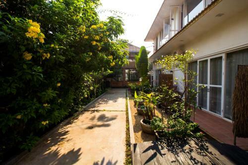 Hotel Koki-tree
