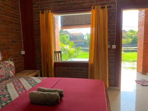Hostal Soca House