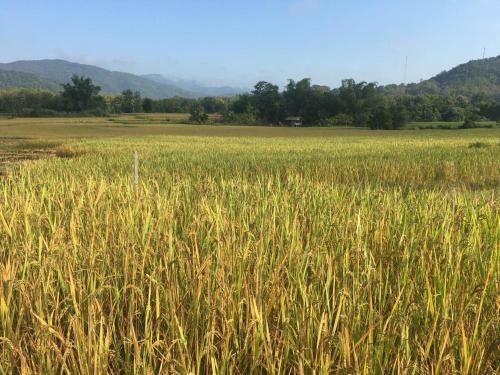 Hotel Nakhaohorm Farming Resort