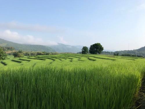 Hotel Nakhaohorm Farming Resort
