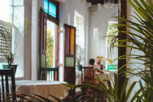 Bed & Breakfast Aloha Villa