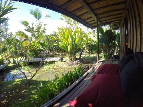 Dragonfly Village