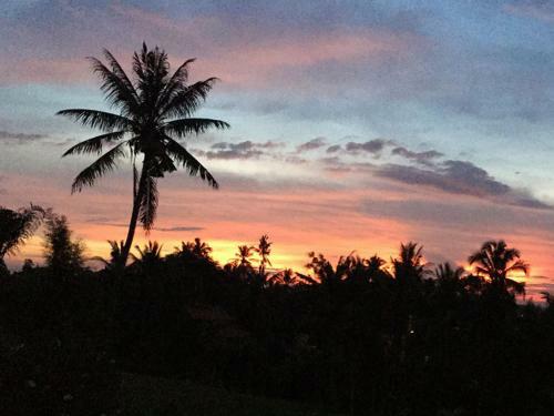Hostal Frangipani Villas