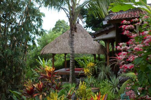 Hostal Rumah Sungai Villa