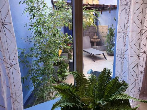 Apartamento Appartement Patio Centre Gueliz