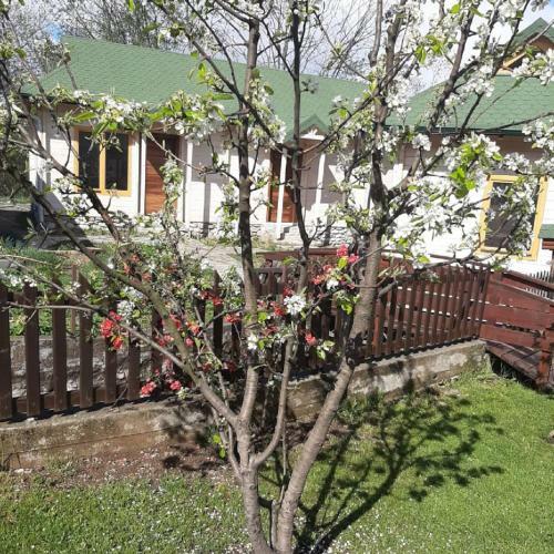 Bed & Breakfast Rooms And Apartmants Mirovic