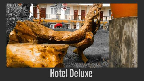 Hotel Deluxe