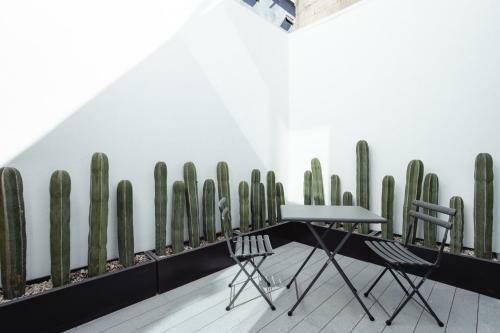Apartamento Amazing Huge 2br/2.5ba In Polanco!