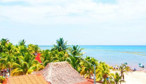 Apartamento Lovely Beachfront Condo In Playa - Steps To 5th Ave!