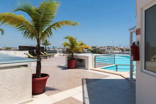 Prime Condo In Playa - Rooftop Pool, Walk To Beach!