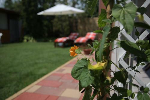 Hostal Simply Sz�ll�