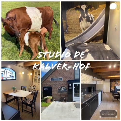 Bed & Breakfast Herberg Boerderij de Straat-hof