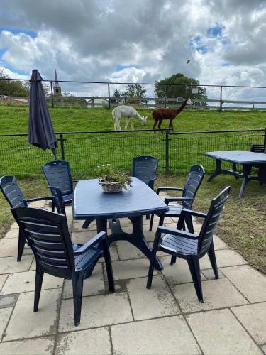 Bed & Breakfast Herberg Boerderij de Straat-hof