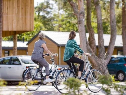 Holiday Home Europarcs Resort de Wije Werelt-2