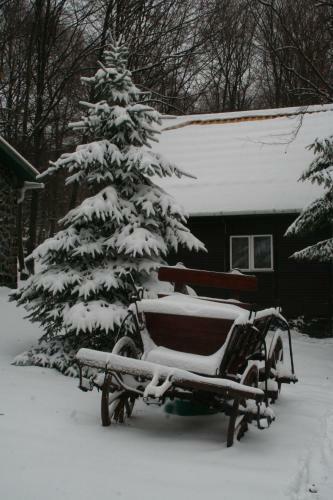 Lodge Dar�zshegyi Apartmanh�z