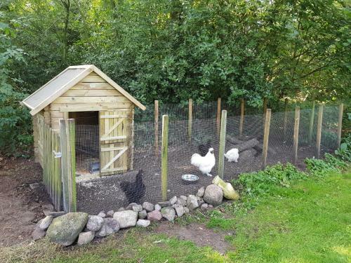 Bed & Breakfast Bij Saar