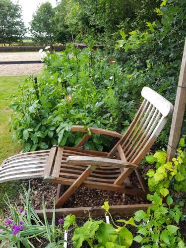 Bed & Breakfast Bij Saar