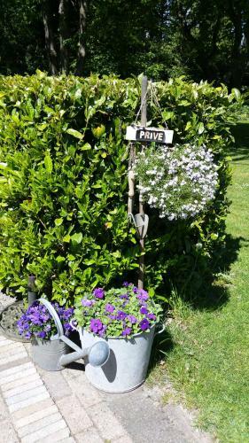 Bed & Breakfast Bij Saar