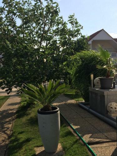 Bed & Breakfast Judit Vend�gh�z