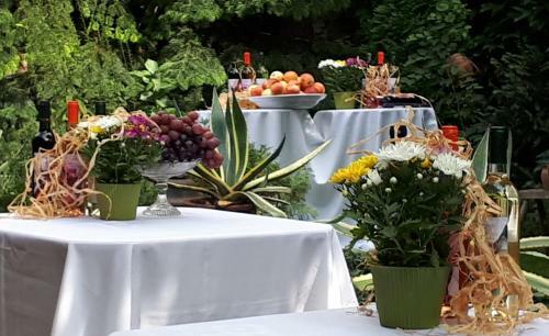 Bed & Breakfast F�nagy �s Walter Vend�g- �s Borh�z