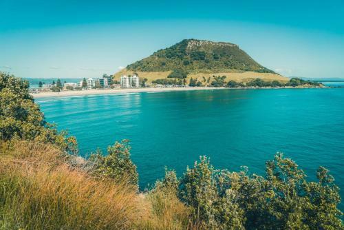 Apartamentos Ocean Eleven At Magical Mount Maunganui