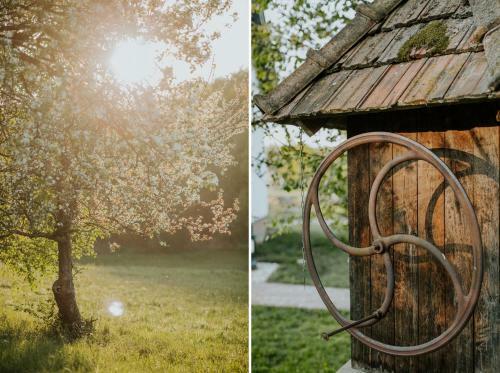 Bed & Breakfast Kosbor Panzi� St�lusos Vid�ki Sz�lloda