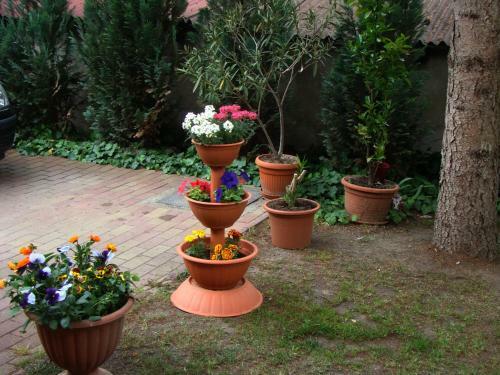 Hostal T�mea Vend�gh�z