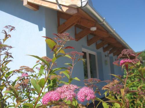 Bed & Breakfast Villa Rigo Panzi�