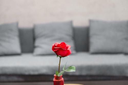 Apartamenty Bosacka Wawelofts
