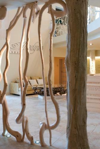 Hotel Afrodyta Spa & Wellness Resort