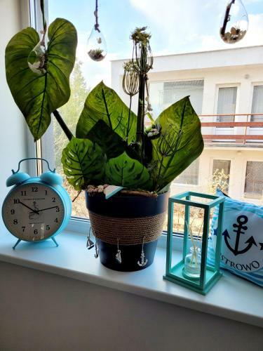 Apartament 2 Dolcevita