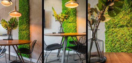 Apartamenty Homely Place Centrum