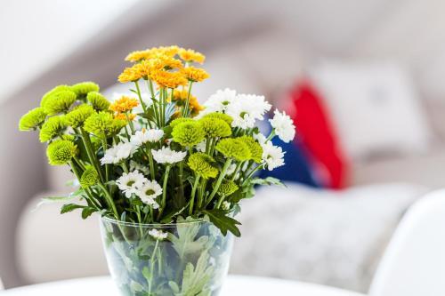 Apartamento Happy Stay Sopot Monte Cassino 44 C