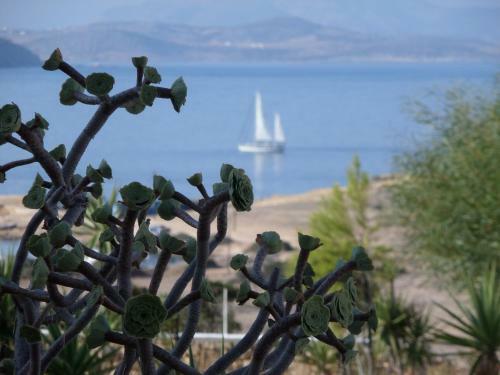 Apartamento Iliovasilema Studios Koufonisia