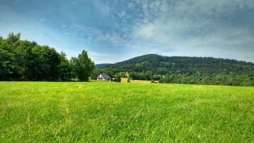 Bed & Breakfast Rezydencja Ostoja