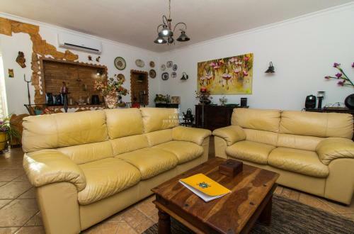 D Alma Villa Maximo