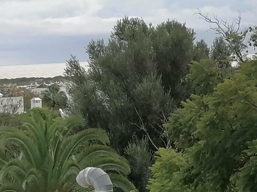 Apartamento Algarent Cabanas de Tavira Quinta Velha Cosy 214